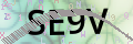 驗證碼圖片